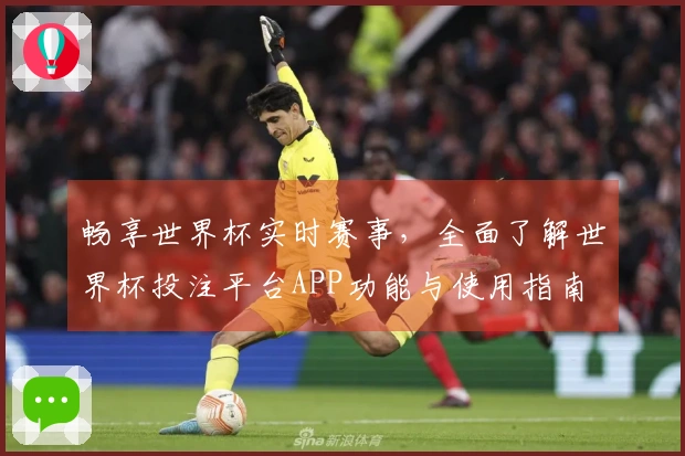 畅享世界杯实时赛事，全面了解世界杯投注平台APP功能与使用指南