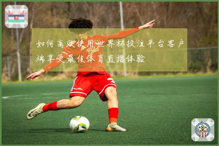 如何高效使用世界杯投注平台客户端享受最佳体育直播体验