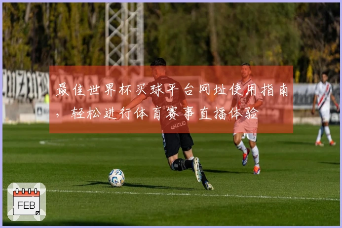 最佳世界杯买球平台网址使用指南，轻松进行体育赛事直播体验