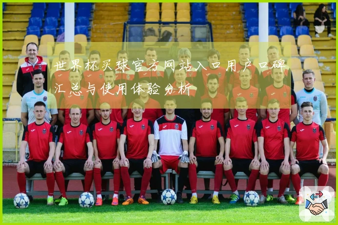 世界杯买球官方网站入口用户口碑汇总与使用体验分析