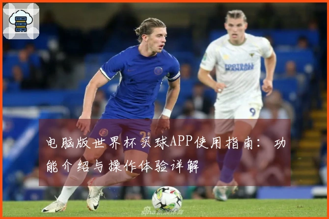 电脑版世界杯买球APP使用指南：功能介绍与操作体验详解