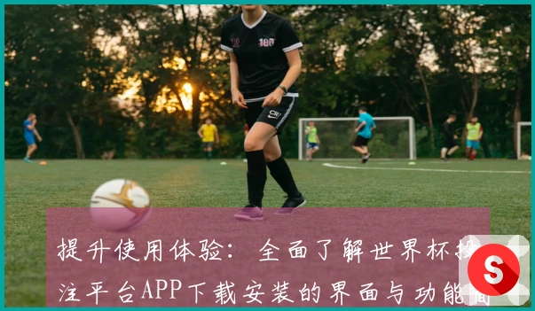 提升使用体验：全面了解世界杯投注平台APP下载安装的界面与功能简介
