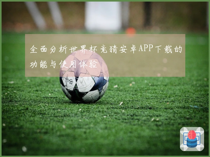 全面分析世界杯竞猜安卓APP下载的功能与使用体验