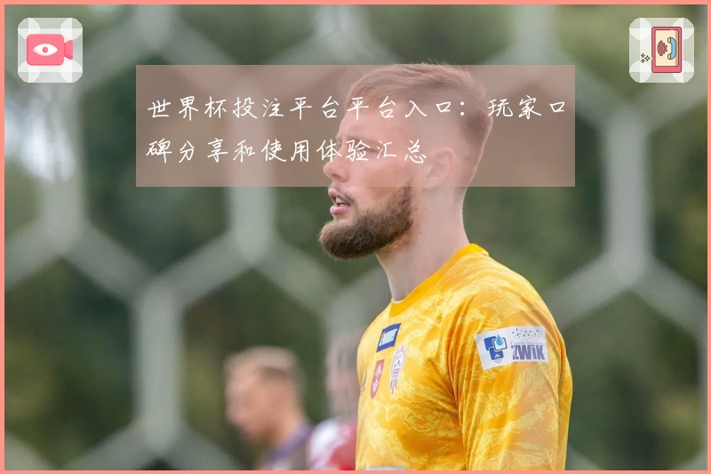 世界杯投注平台平台入口：玩家口碑分享和使用体验汇总