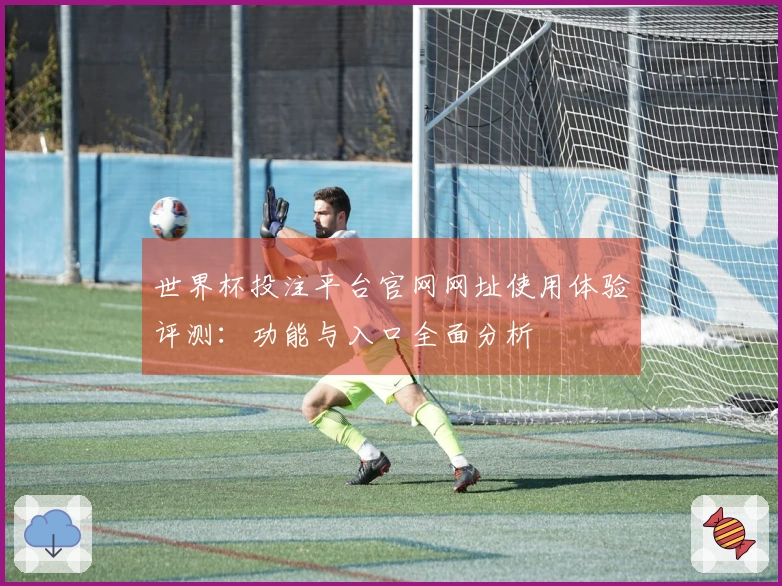 世界杯投注平台官网网址使用体验评测：功能与入口全面分析