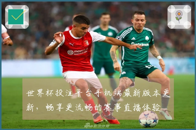 世界杯投注平台手机端最新版本更新，畅享更流畅的赛事直播体验