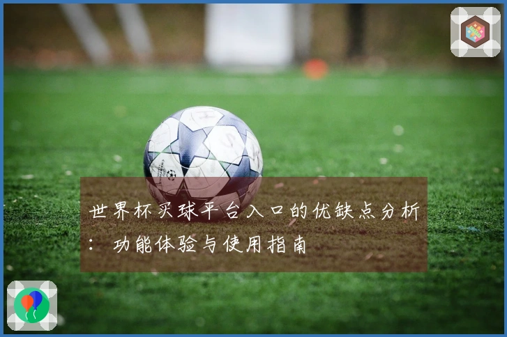 世界杯买球平台入口的优缺点分析：功能体验与使用指南