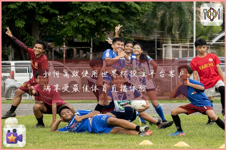 如何高效使用世界杯投注平台客户端享受最佳体育直播体验