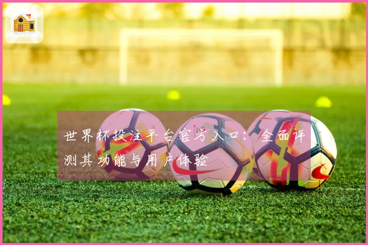 世界杯投注平台官方入口：全面评测其功能与用户体验