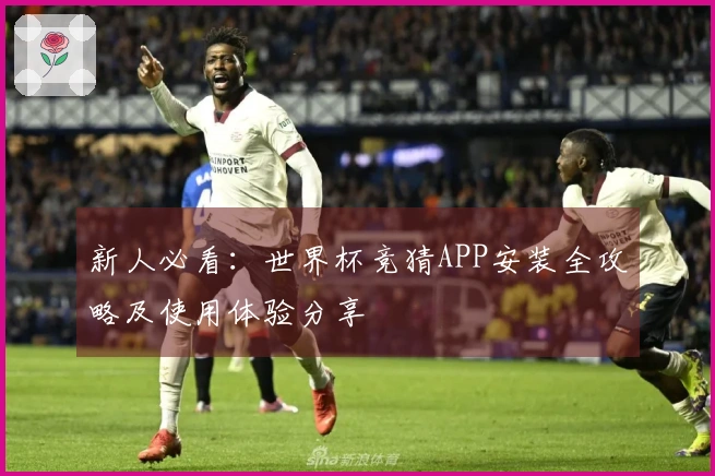 新人必看：世界杯竞猜APP安装全攻略及使用体验分享