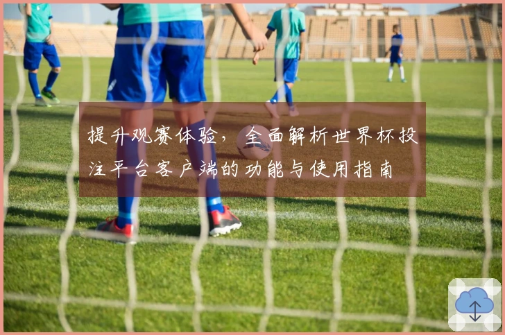 提升观赛体验，全面解析世界杯投注平台客户端的功能与使用指南