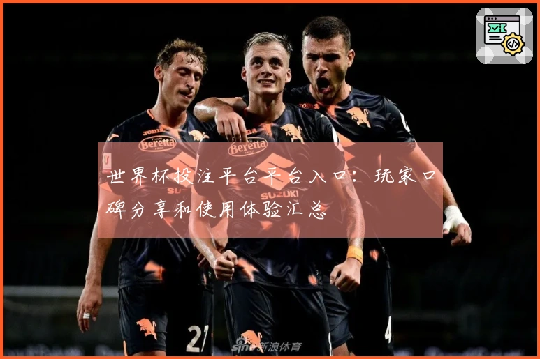 世界杯投注平台平台入口：玩家口碑分享和使用体验汇总
