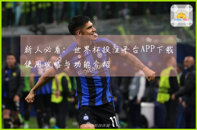 新人必看：世界杯投注平台APP下载使用攻略与功能介绍