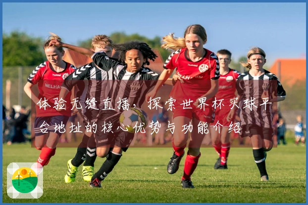 体验无缝直播，探索世界杯买球平台地址的核心优势与功能介绍