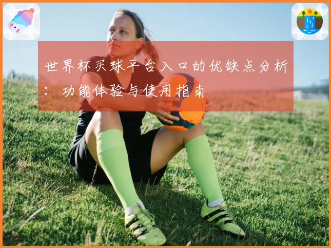 世界杯买球平台入口的优缺点分析：功能体验与使用指南