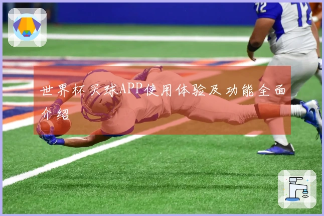 世界杯买球APP使用体验及功能全面介绍