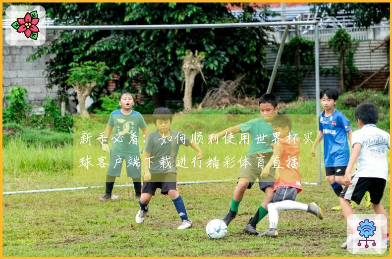 新手必看：如何顺利使用世界杯买球客户端下载进行精彩体育直播