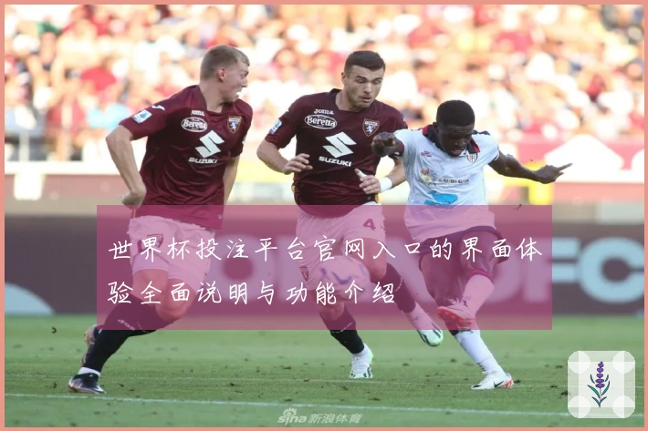 世界杯投注平台官网入口的界面体验全面说明与功能介绍