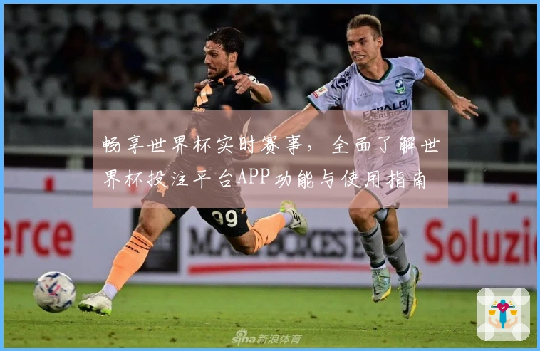 畅享世界杯实时赛事，全面了解世界杯投注平台APP功能与使用指南